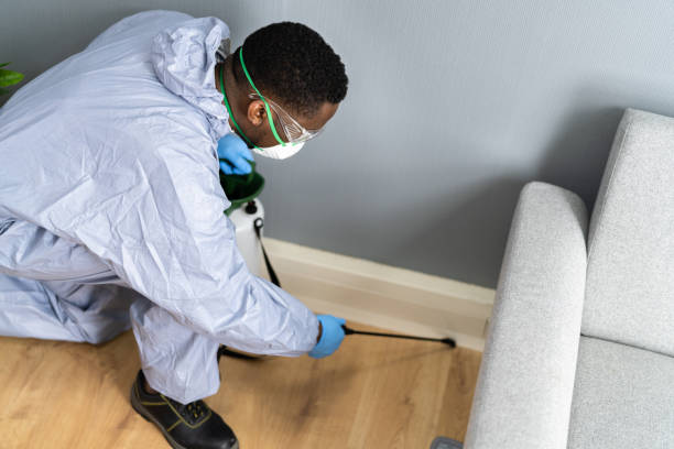 Indoor Pest Control in Silver Spring, MD